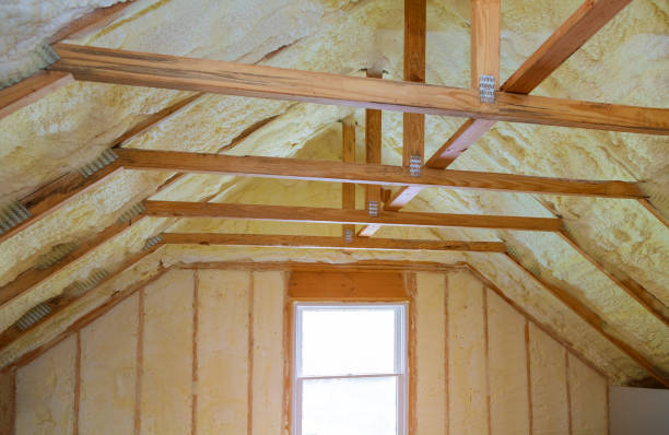 Best Residential Insulation in Silsbee, TX